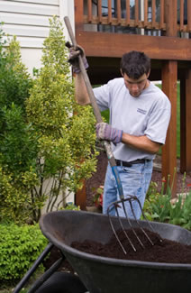 Employment at College Mulchers