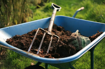 Mulch in Wheelbarrow